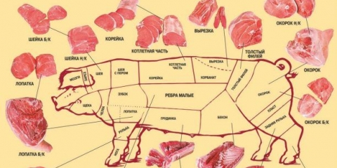 Koljenica - ovo je dio svinje (svinjski trup)